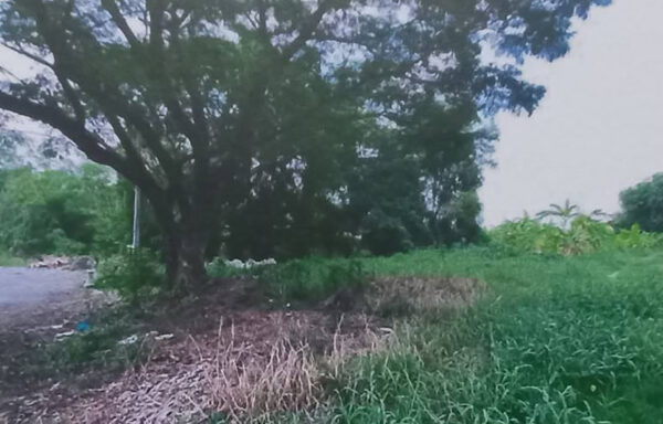 ที่ดิน แปลงสวย ซอยวัดสุขใจ 24 คลองสามวา กรุงเทพฯ – 0043LD