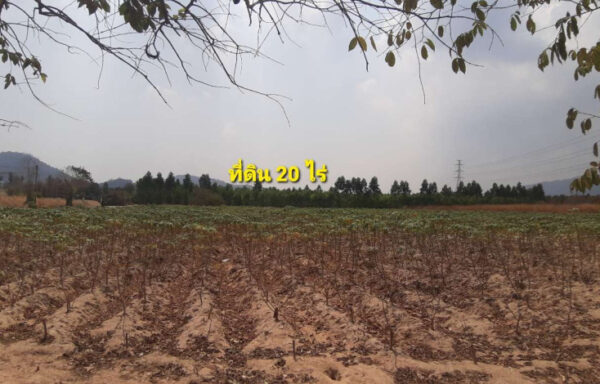 ที่ดิน 20ไร่ คลองกิ่ว บ้านบึง ชลบุรี พื้นที่ดินสีม่วง ติดนิคม WHA – 0032WH