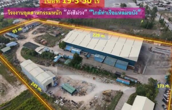 ที่ดินใกล้ท่าเรือแหลมฉบัง พร้อมโรงงาน ขนาด 19-3-50 ไร่ พร้อมใบอนุญาต รง.4 – 0033WH
